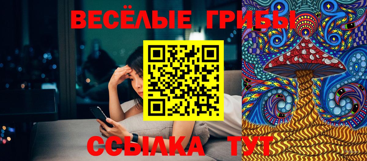 Псилоцибиновые грибы мицелий Серпухов